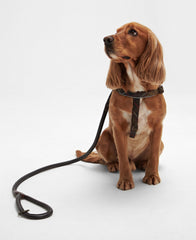 Barbour Leather Dog Snap Lead