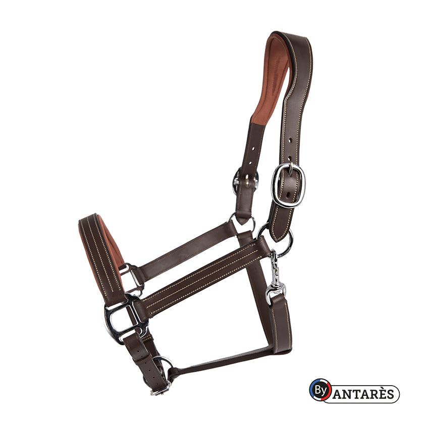 Antares Signature Leather Halter