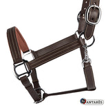 Antares Signature Leather Halter