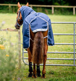 Horseware Amigo Bravo 12 Plus Bundle Turnout (50g Outer with 100g Liner and 200g Liner)