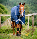 Horseware Amigo Bravo 12 Plus Turnout Blanket (250g Medium)